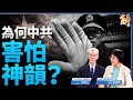 傳習近平贊神韻節目卻變密令打壓 中共為何怕神韻？紐時攻擊神韻法輪功 新聞學者：三大專業錯誤.兩個低下｜明居正｜張錦華｜新聞大破解 Mp3 Song
