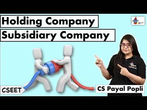 Holding Company and Subsidiary Company | Difference between Holding company and subsidiary company