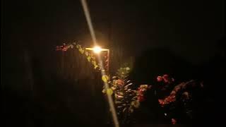 Relaksasi Suara Hujan Gerimis Untuk Yoga Dan Meditasi Menenangkan Pikiran