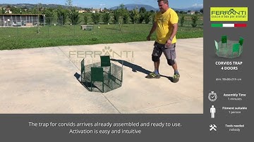 Larsen trap with 4 entries for magpies crows corvids VIDEO TUTORIALS - Ferranti