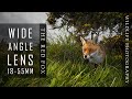 Irish wildlife photography  fox with wide angle lens remote trigger