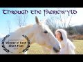 Through the faeriewyld 2019  elven fantasy film  award winning  best short film