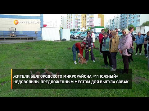 Жители белгородского микрорайона «11 Южный» недовольны предложенным местом для выгула собак