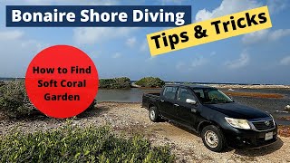 How to Find Soft Coral Garden - Bonaire Shore Diving Tips & Tricks screenshot 5