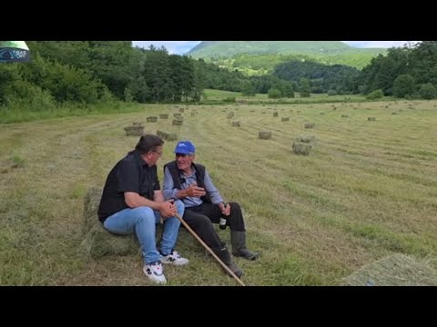 Čuvaj se zla žene, zla komšije i zla zemlje – sa Matom u kosidbi