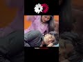 cute husband wife funny Short video status 💫🌎🫂😄😂 #husbandwife #mylove #trending #releshionship