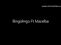 Bingolingo ft macelba