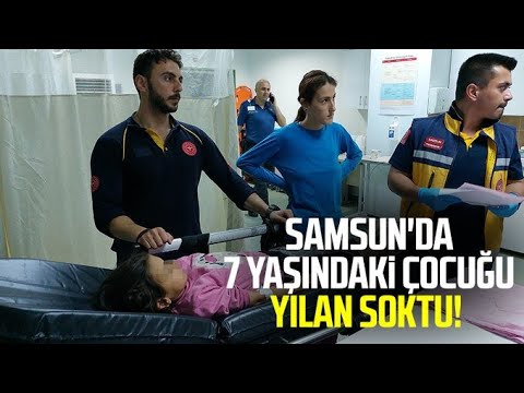 Samsun'da 7 yaşındaki çocuğu yılan soktu!