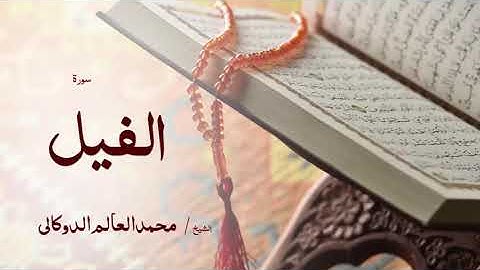 105 سورة الفيل  بصوت القارئ الشيخ محمد العالم الدوكالى
