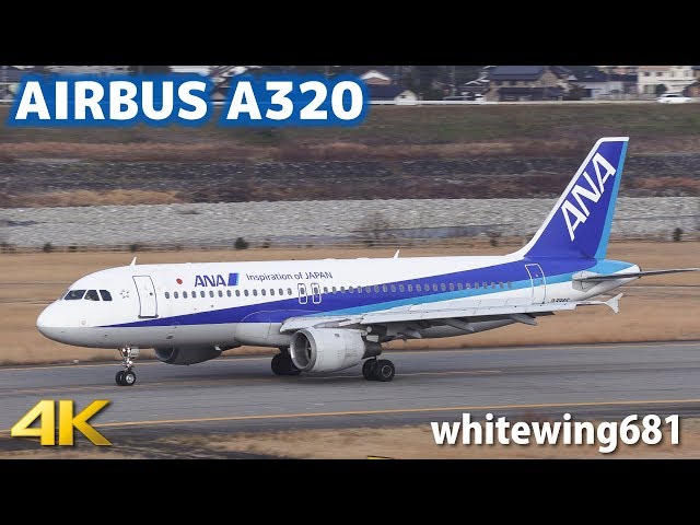 全日空商事 1/200 A320ceo JA8946 全日空商事 1/200 A320ceo JA8946 全日空商事 NH20062 ANA