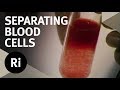 The Process of Blood Fractionation - Christmas Lectures with Walter Bodmer