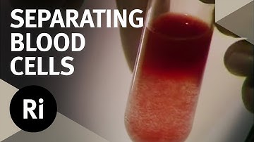 The Process of Blood Fractionation - Christmas Lectures with Walter Bodmer