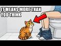 The Real Reason Your Cat Follows You Into the Bathroom