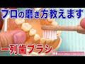 プロが教える一列歯ブラシの使い方！虫歯の治し方を熟知する専門家が自宅でのおすすめのケアを伝授！【福岡 博多の口コミの評判の歯医者が解説】