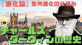 ダーウィン Youtube