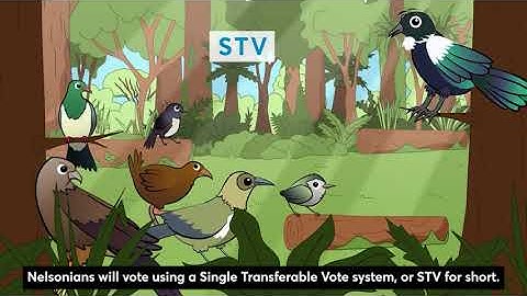 STV explained: how the results are decided