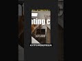 陌生人来了猫咪不吃饭？ #Shorts