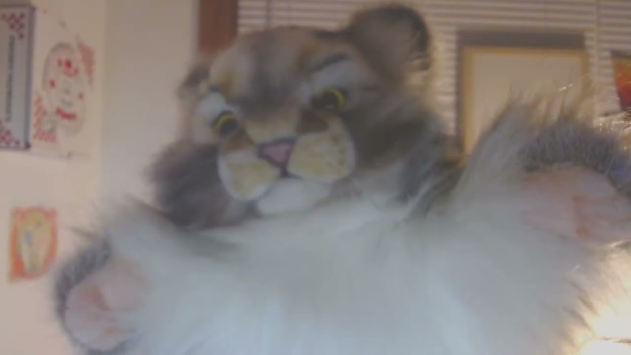 advice for the young at heart