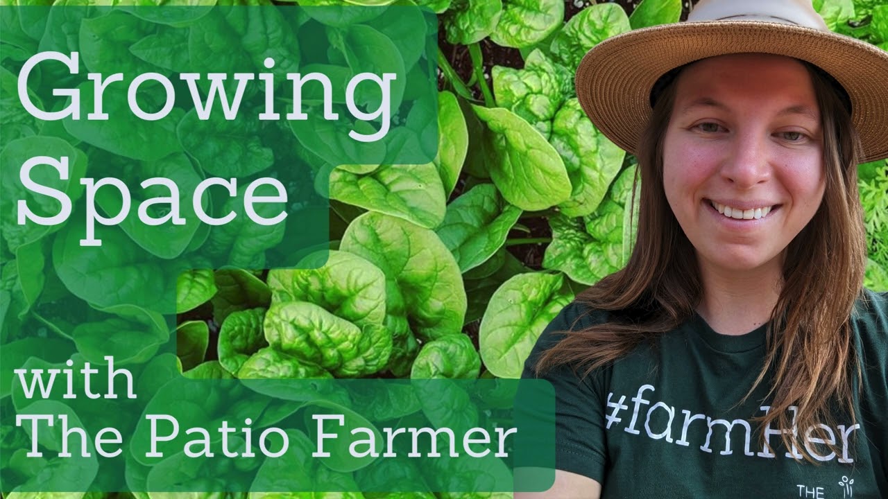 Episode 49: Meet the Plant Families - Chenopodiaceae