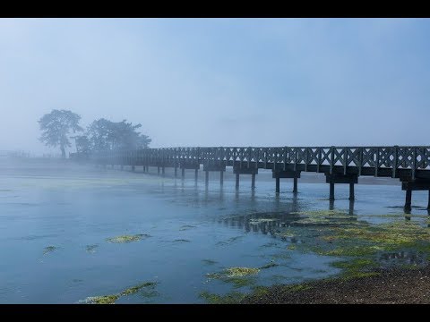 ヴィヴァルディが見た日本の四季 《夏》城ヶ島の雨  月いち合唱団