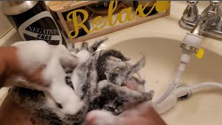 ASMR 😴 Satisfying Shampoo & hair wash for Stress Relief | GUM CHEWING