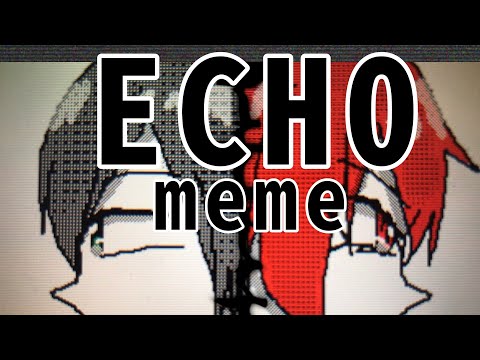 ECHO meme #うごメモ こなこな様＆コッド様(勝手に)お借りしました！