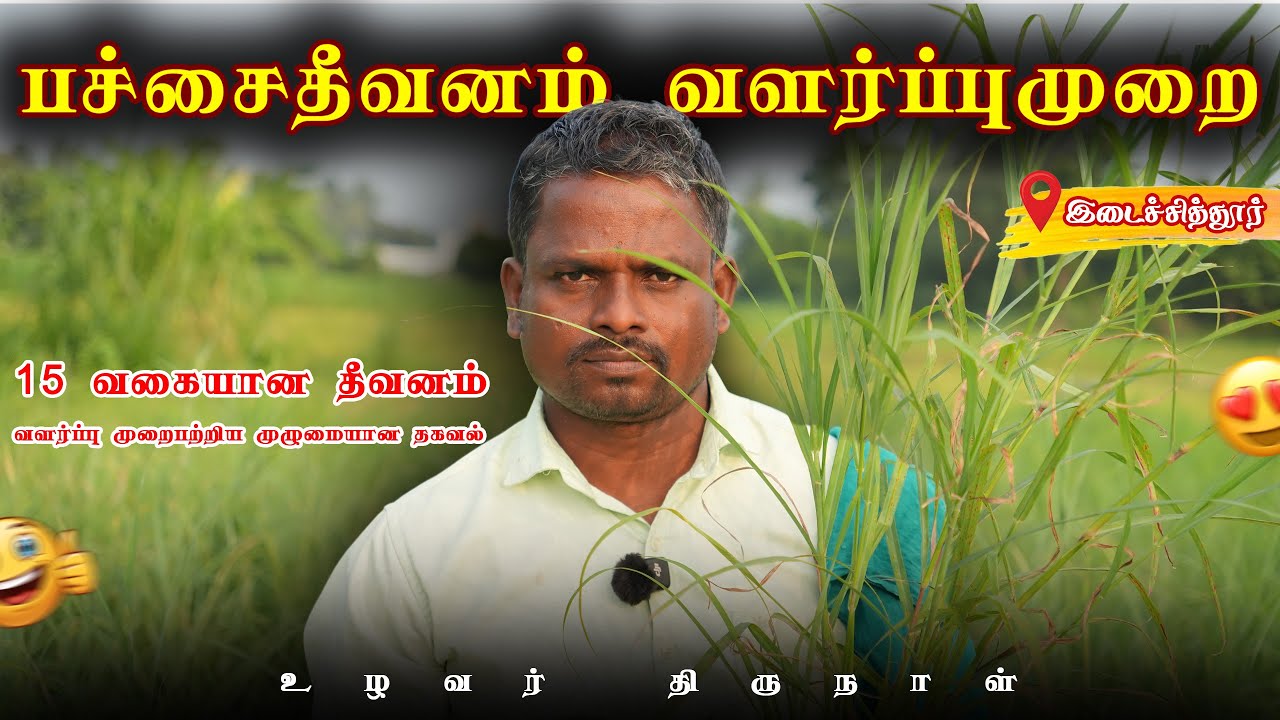 பசும் தீவனம் வளர்க்கும் முறை | உழவர் திருநாள்