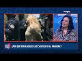 ¿Cuál es el estado de derecho que aplica en La Parguera de Lajas?