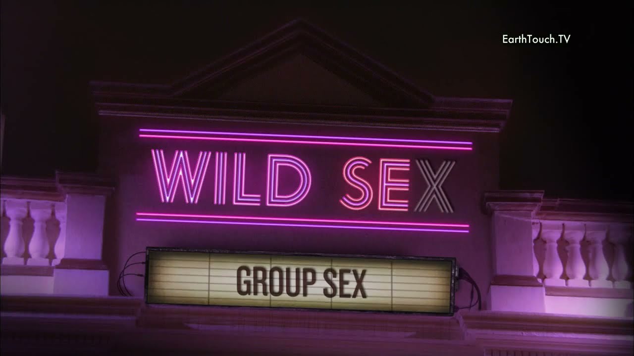 Wild Sex Group Sex Sex Orgy Or You May Call It Swingers All In All