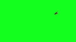 Spider Animation Green Screen L Hd