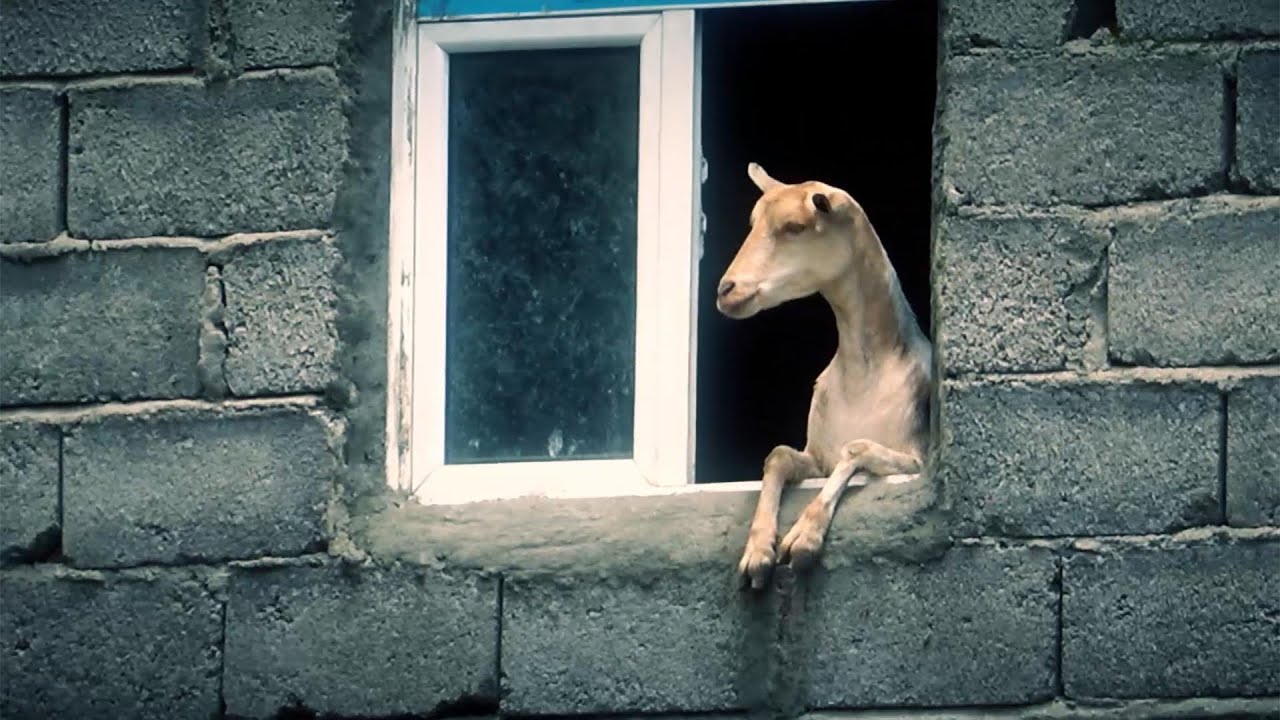 ملخص الحياة اليومية في جبال صعدة