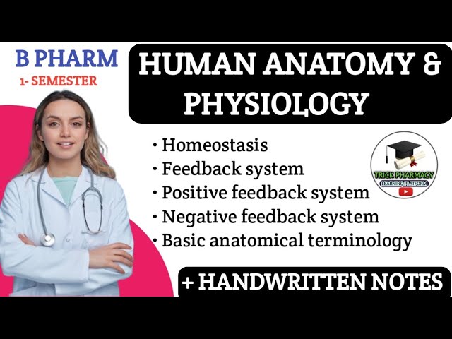 Homeostasis | Positive , negative feedback system | basic anatomical terminology | b pharm 1st sem.