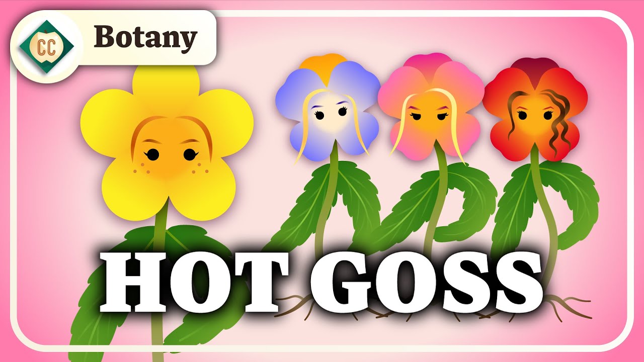 The Secret Social Lives of Plants (Population & Community Ecology): Crash Course Botany #12