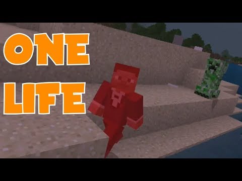 pc remote Minecraft One Life