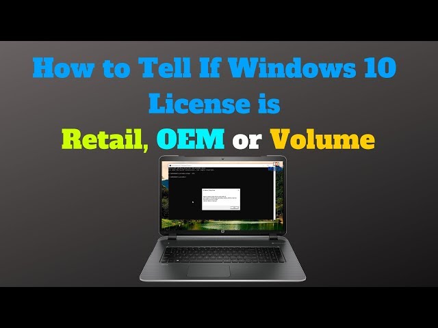 How to Check Your Windows 11 License Type [OEM, Retail, Volume]?