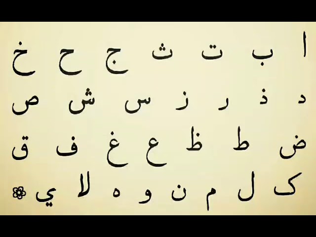 Mushuk ichida sperma bilan