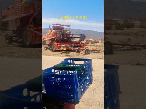 أحلا تحي الحصظا وين مكنو 06 27 2025