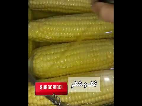 ذرت به راحتی دون کن  آشپزی ایرانی  ذرت ترفند خانه داری رازهای آشپزی کدبانو