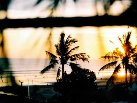 Baauer - Yaow!