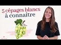 5 cpages blancs  connatre absolument chardonnay sauvignon blanc riesling chenin viognier