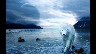 Solid Stone - The Bitter Cold (Original Mix) [FREE TRACK FROM SOLID STONE]