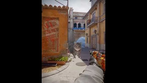 《职业B包全白闪》#cs2教学 #csgo道具 #cs2道具教学 #cs2 #炸鱼cs2 #csgo #fyp #cs2clips #shorts