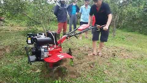 chức năng xạc cỏ của máy xới đất đa năng chạy dầu 173 đề nổ của hãng kama kachita thương hiệu Đức