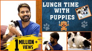 Lunch Time With ShiTzu Puppies | MaKaPa