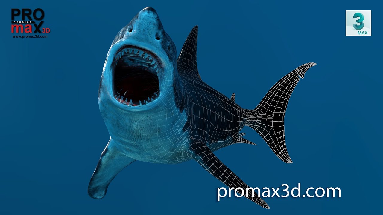 Complete Realistic Shark Model - The Great White Shark (Rigged, Textured,  Easy To Animate)