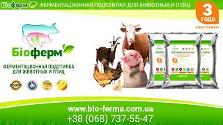 Агонь! Содержание животных без уборки, без запаха, без отопление Агонь! Содержание животных без уборки, без запаха, без отопление