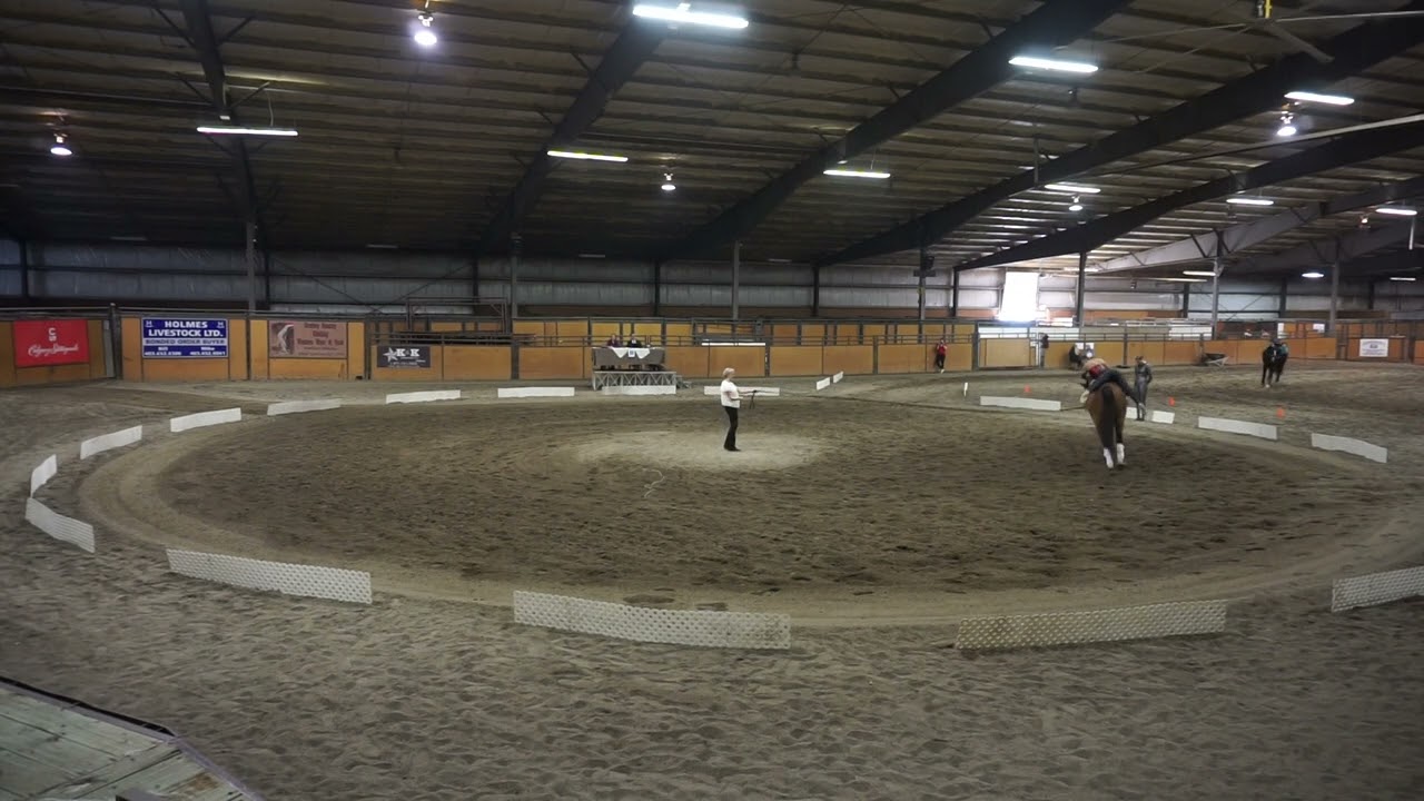 Freedom Acrobatics   Faith Zitko   Freestyle Round 2   VaultCanada Individual Canter B   Senior Wome