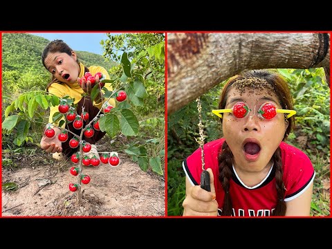 Survival Skills: SMART