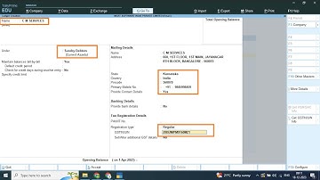 Customer and Party Ledger Creation in Tally Prime