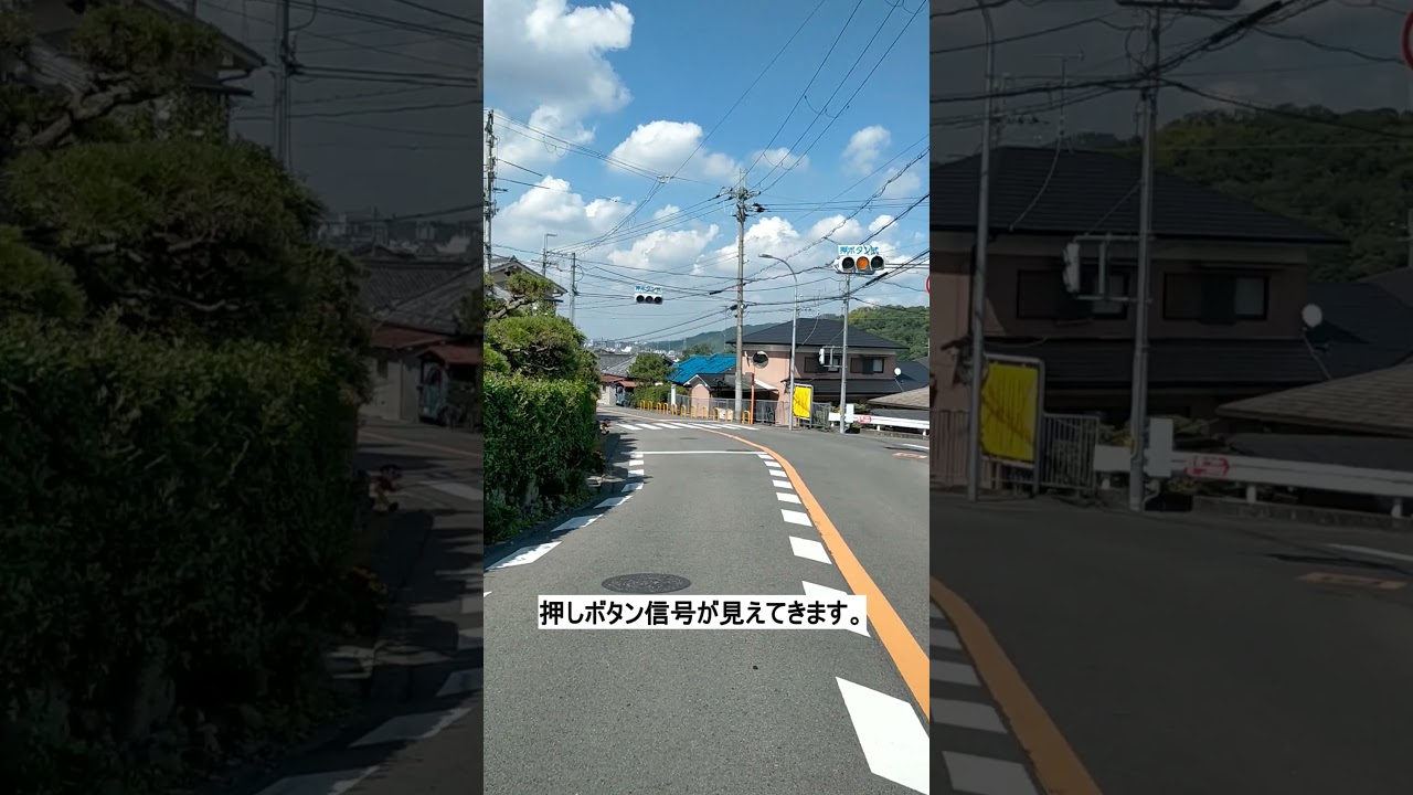 終了 はなぶんサンクスイルミ 旅うさぎと光の国 10 16 土 2 14 月 イベント 大阪府立花の文化園